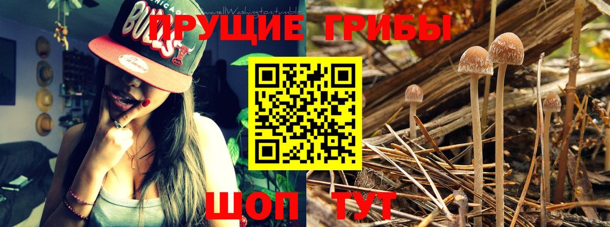 Галлюциногенные грибы Magic Shrooms Медногорск