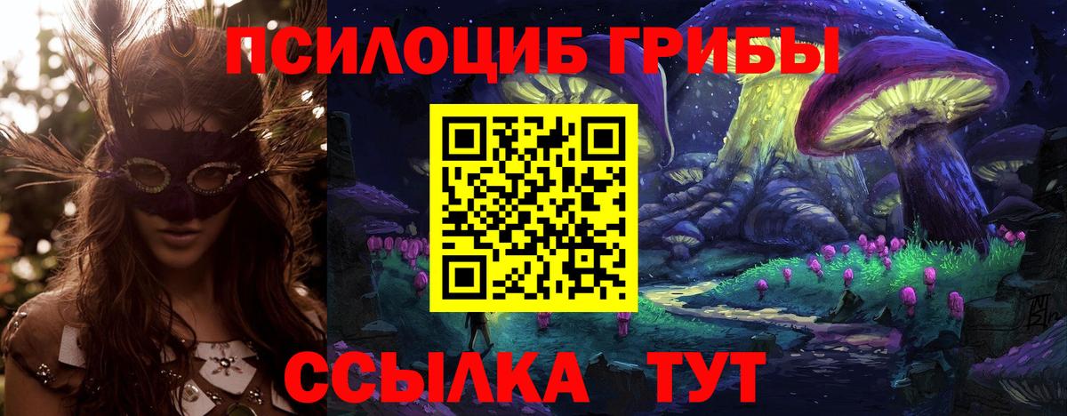 Медногорск  Галлюциногенные грибы прущие грибы  Вход с VPN  Псилоцибиновые грибы прущие грибы 
